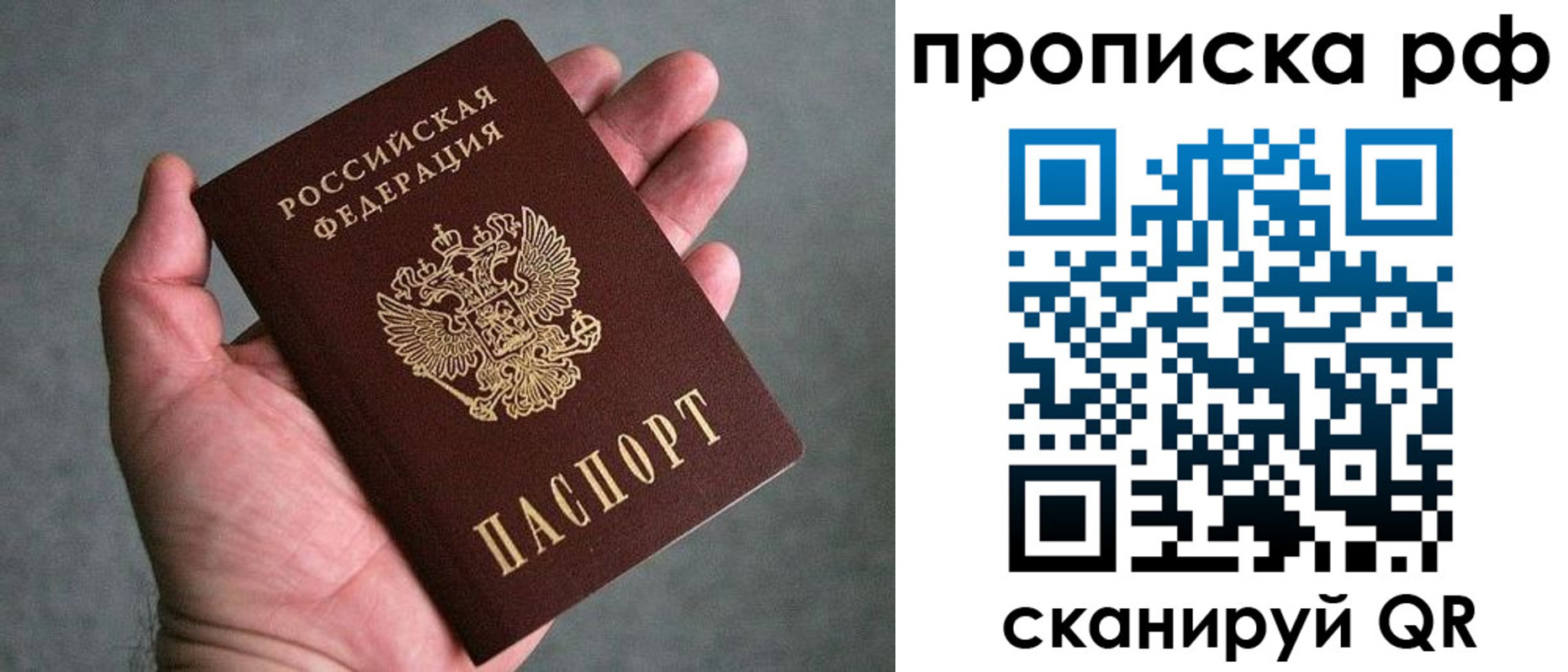 прописка поиск в Гатчине